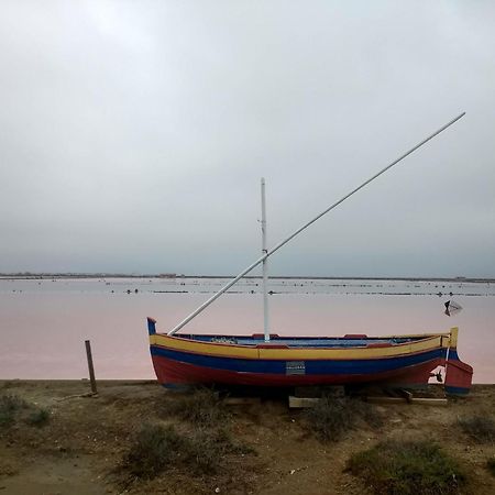 Villa Pays D'Oc Beziers Bagian luar foto